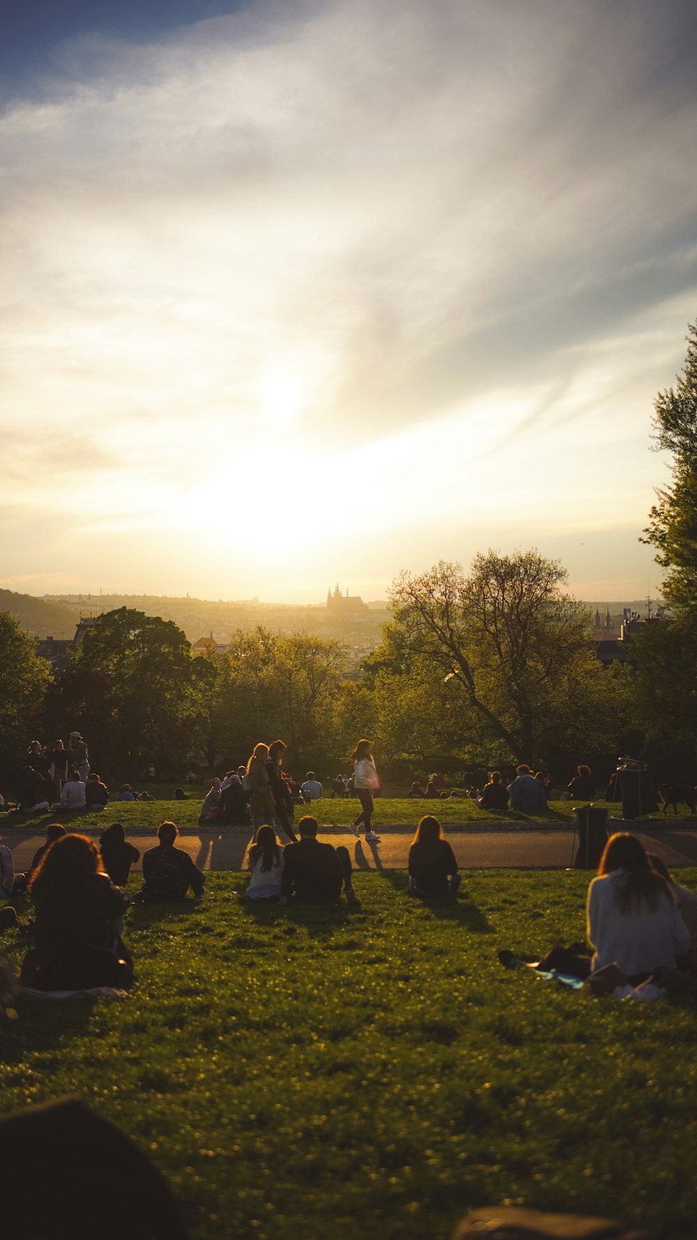 a group of people sitting on top of a lush green field