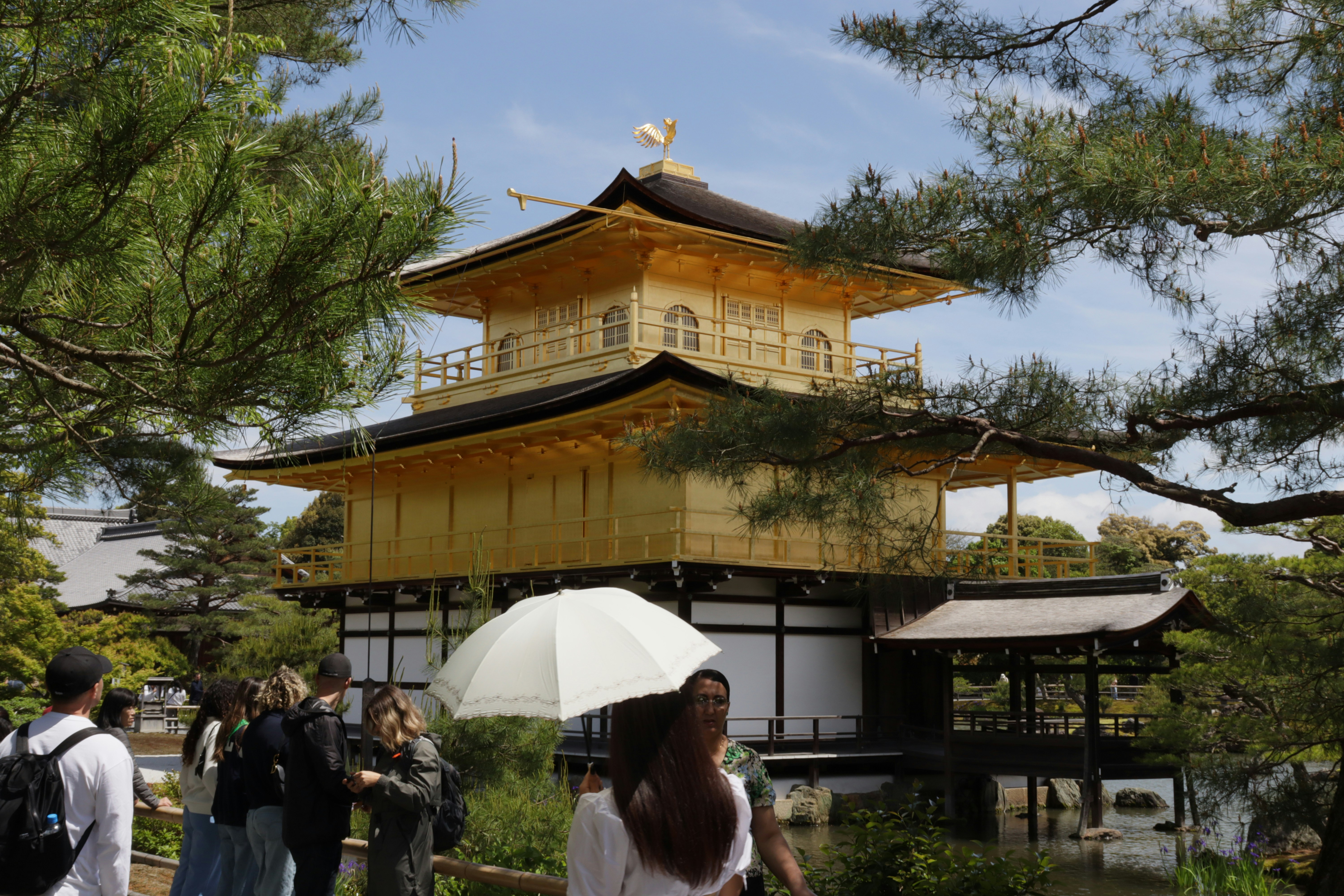 Featured image of post trivy