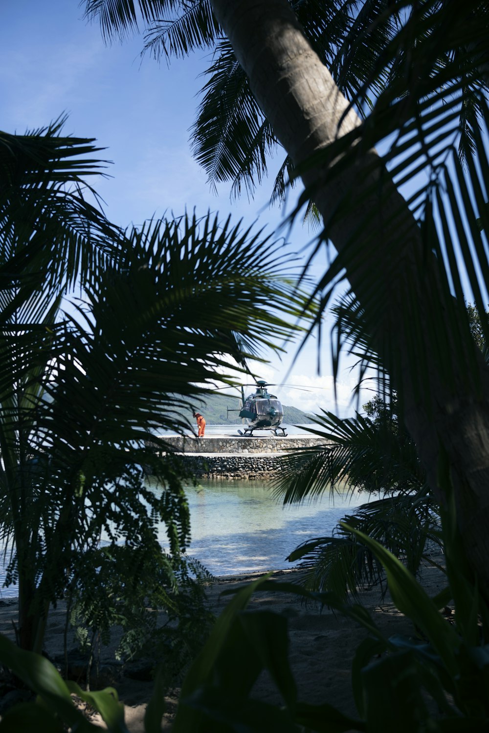 a truck driving down a road next to palm trees