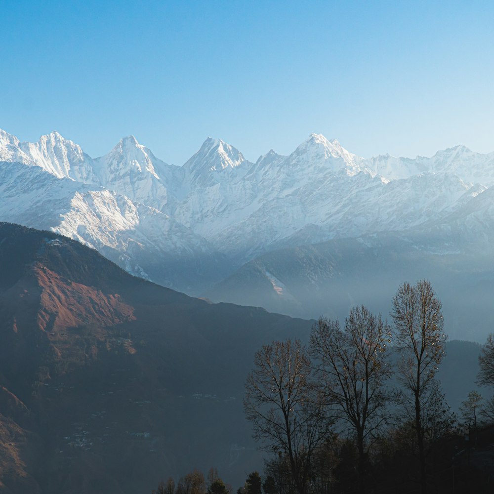 a view of a mountain range with trees in the foreground