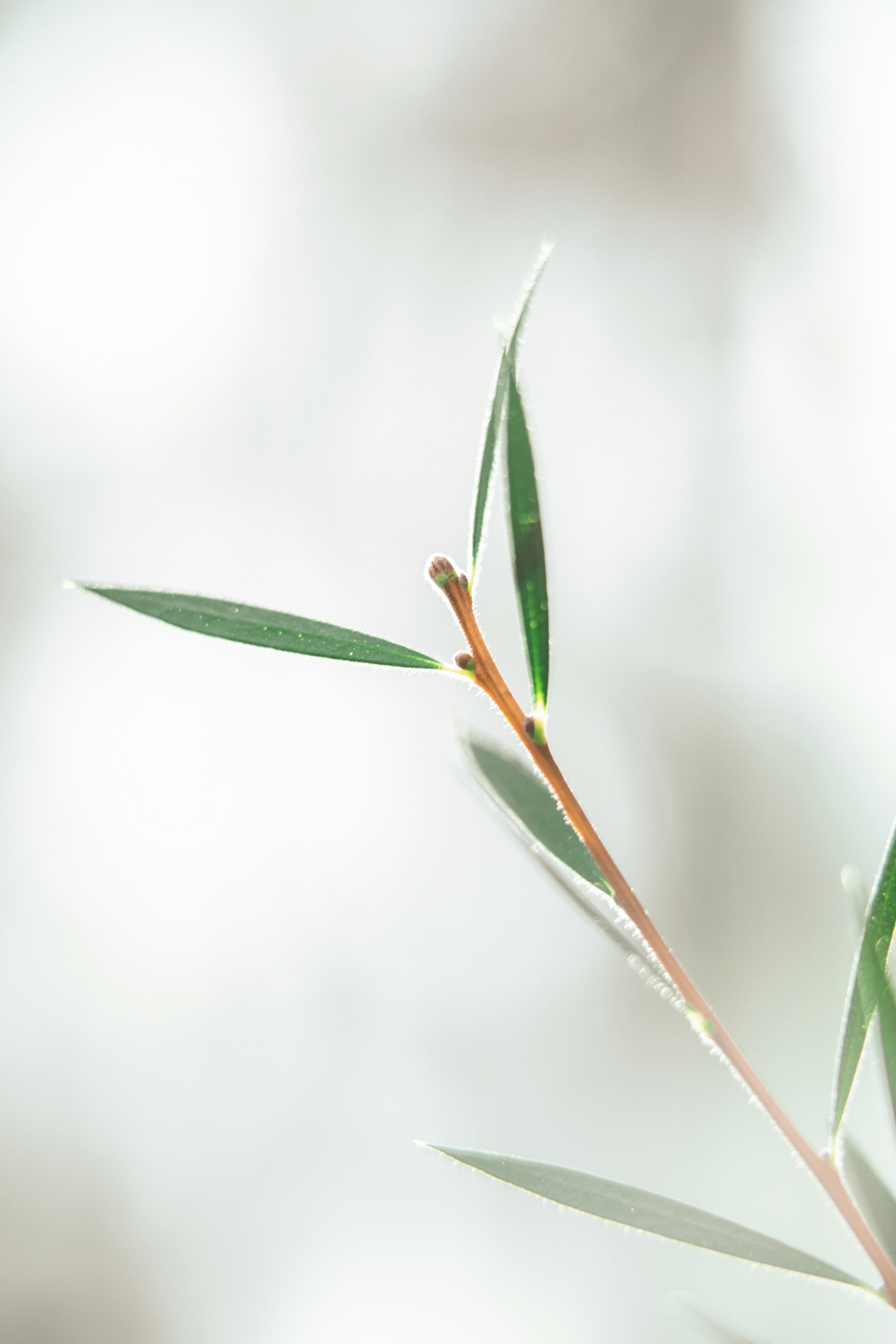 Photo by anamnesis33