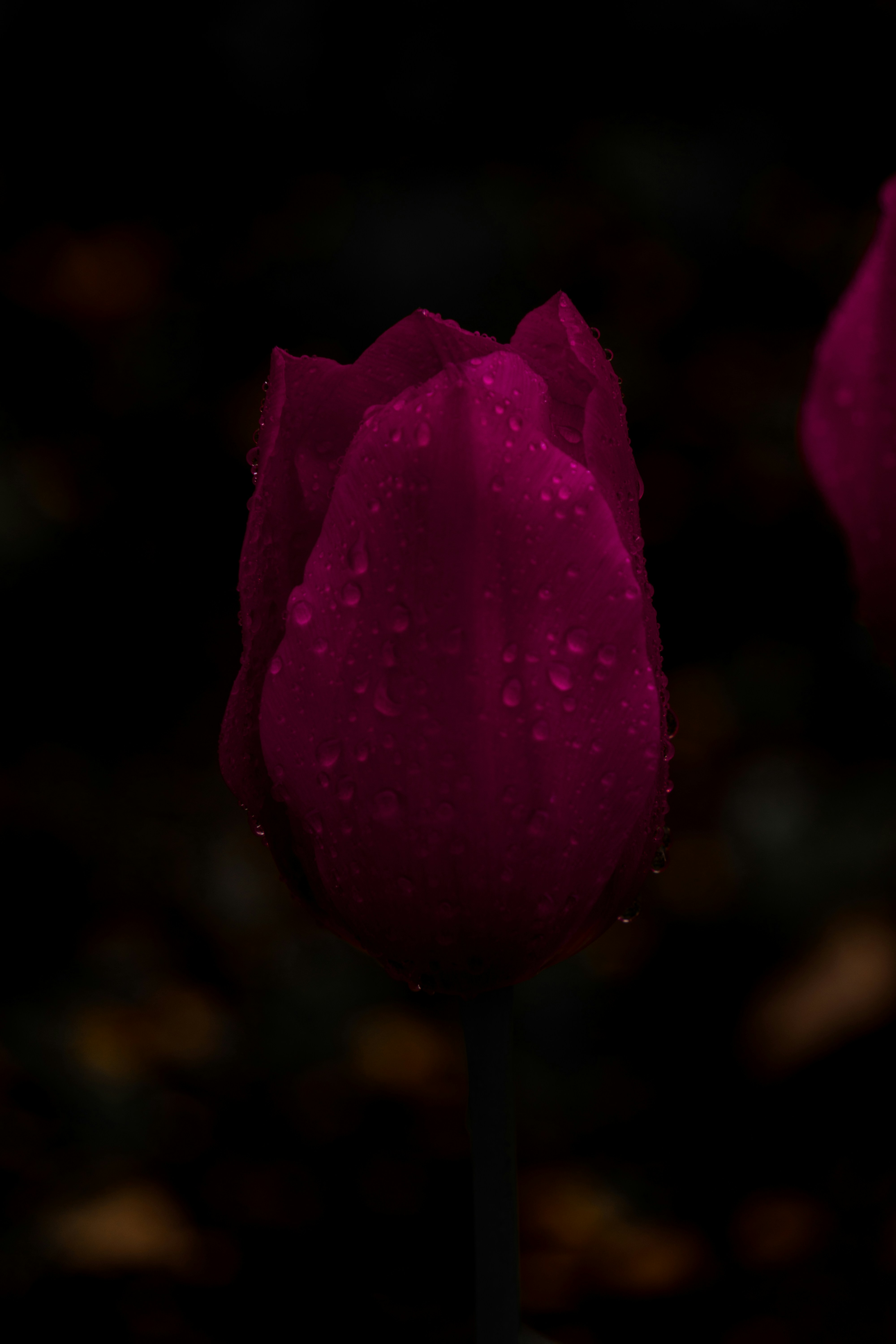 Photo by virussinside