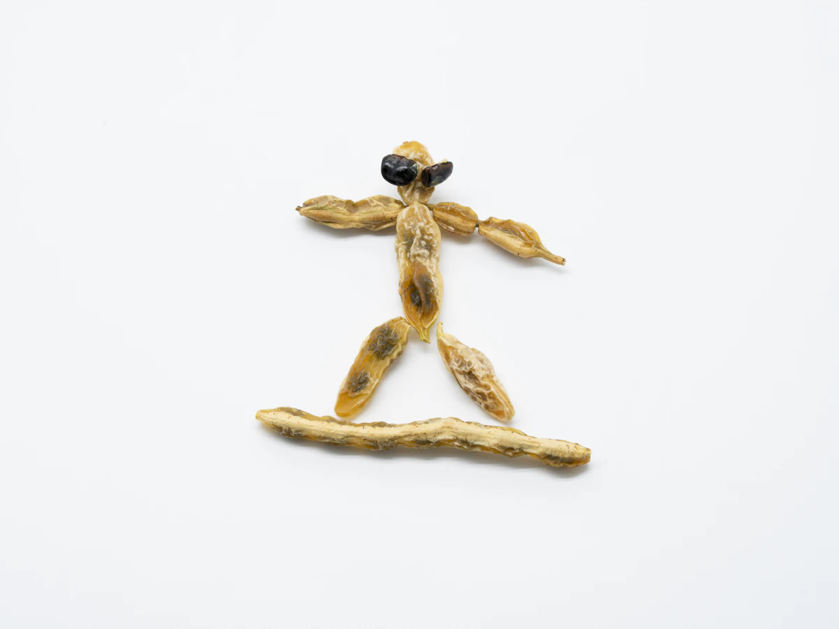Acupuncture for Chronic Pain — photo 2