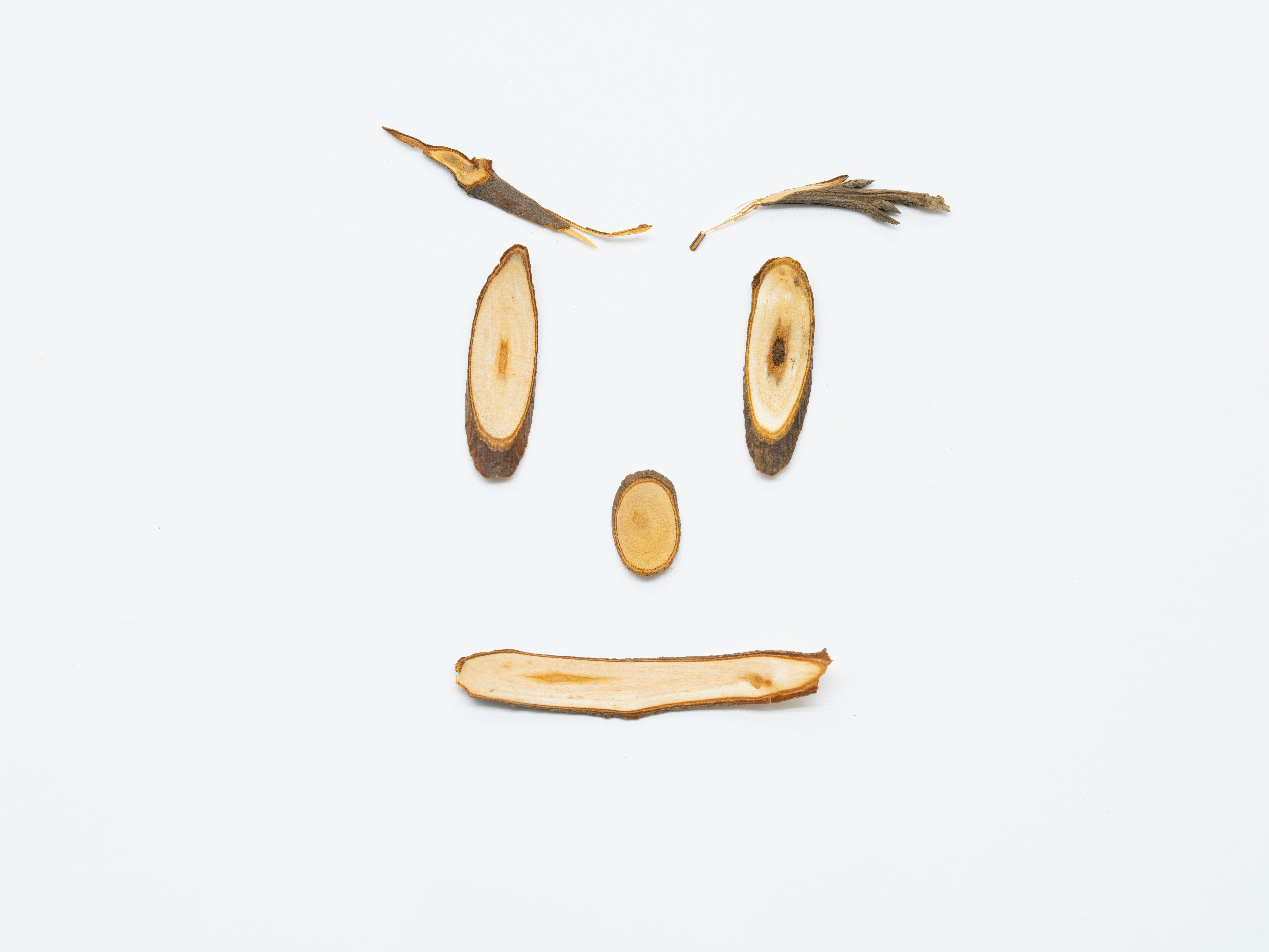 ein Stück Holz mit einem darauf gezeichneten Gesicht