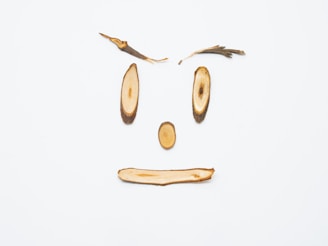 Animal-shaped wooden cutouts with natural wood grain, perfect for DIY home projects.