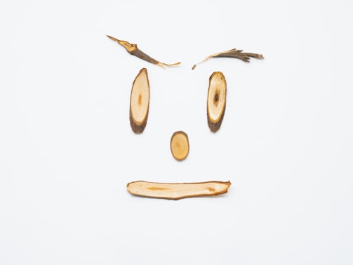 Animal-shaped wooden cutouts with natural wood grain, perfect for DIY home projects.