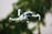 A small quadcopter drone with a camera attachment is hovering in the foreground. The background shows greenery, suggesting a natural outdoor environment with trees or plants.