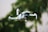 A small quadcopter drone with a camera attachment is hovering in the foreground. The background shows greenery, suggesting a natural outdoor environment with trees or plants.
