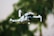 A small quadcopter drone with a camera attachment is hovering in the foreground. The background shows greenery, suggesting a natural outdoor environment with trees or plants.