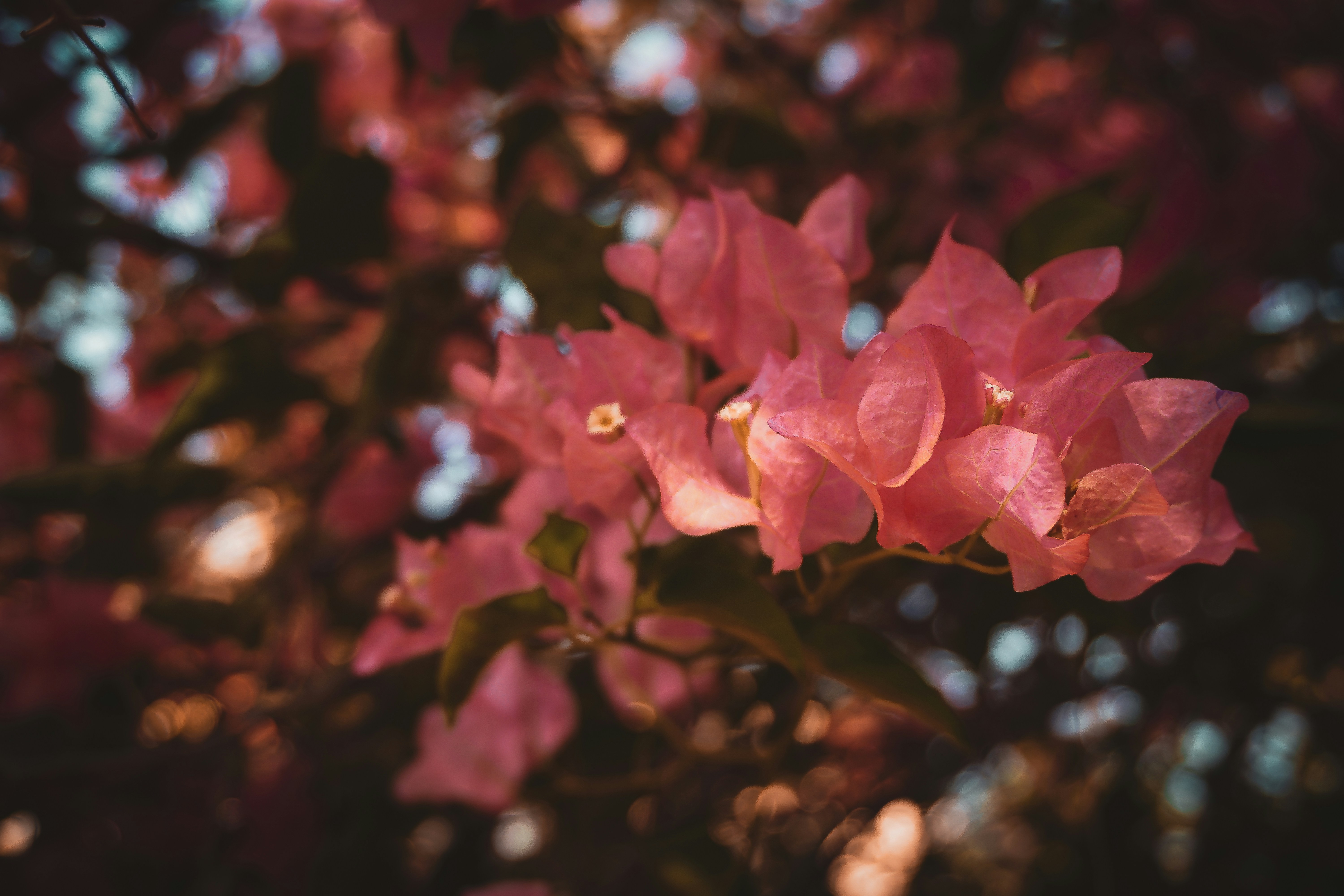 Photo by theblack_hood