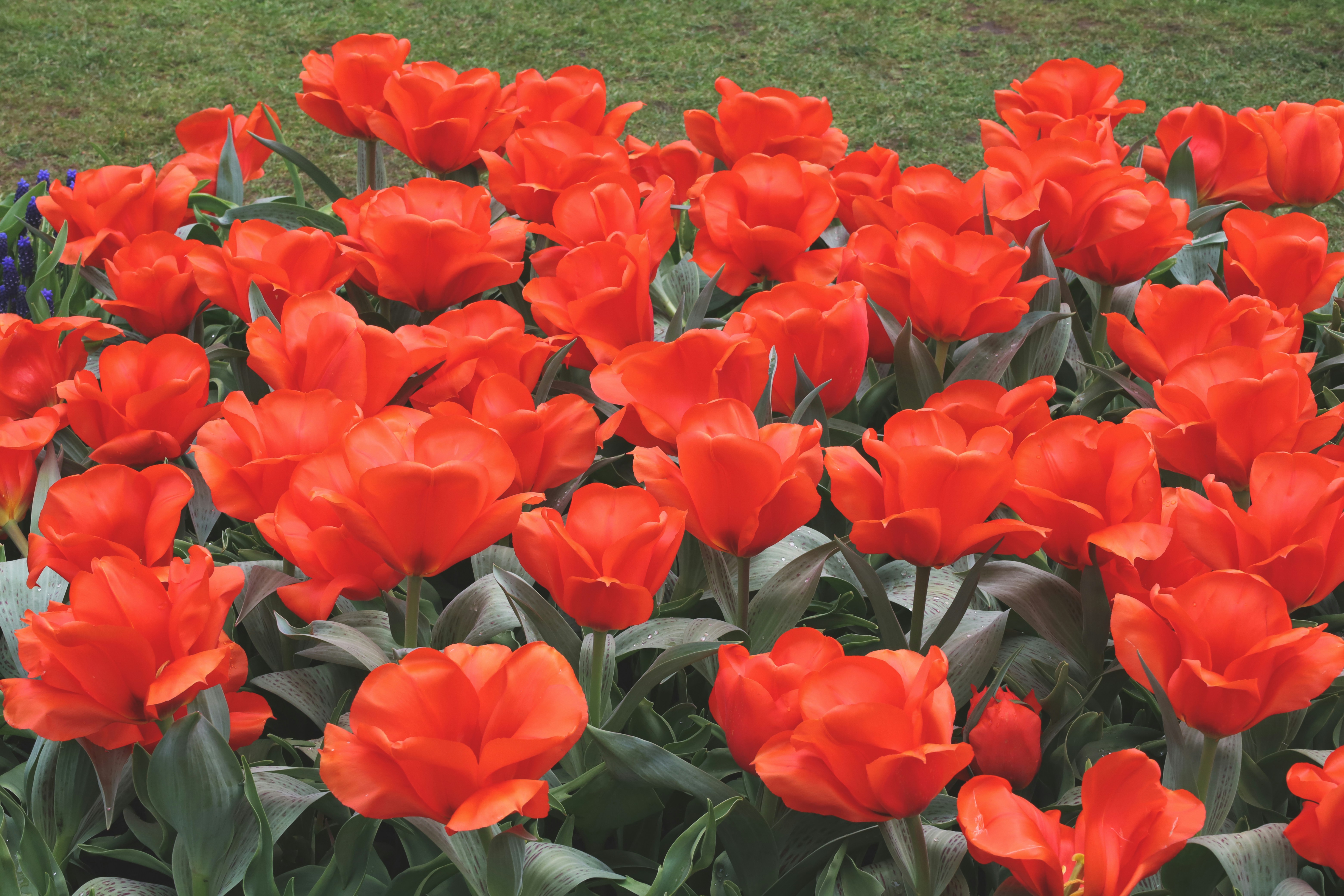 Photo by etherealwhispers