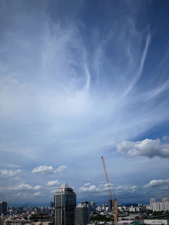 A professional engineer reviewing blueprints on a construction site with a city skyline in the background.
