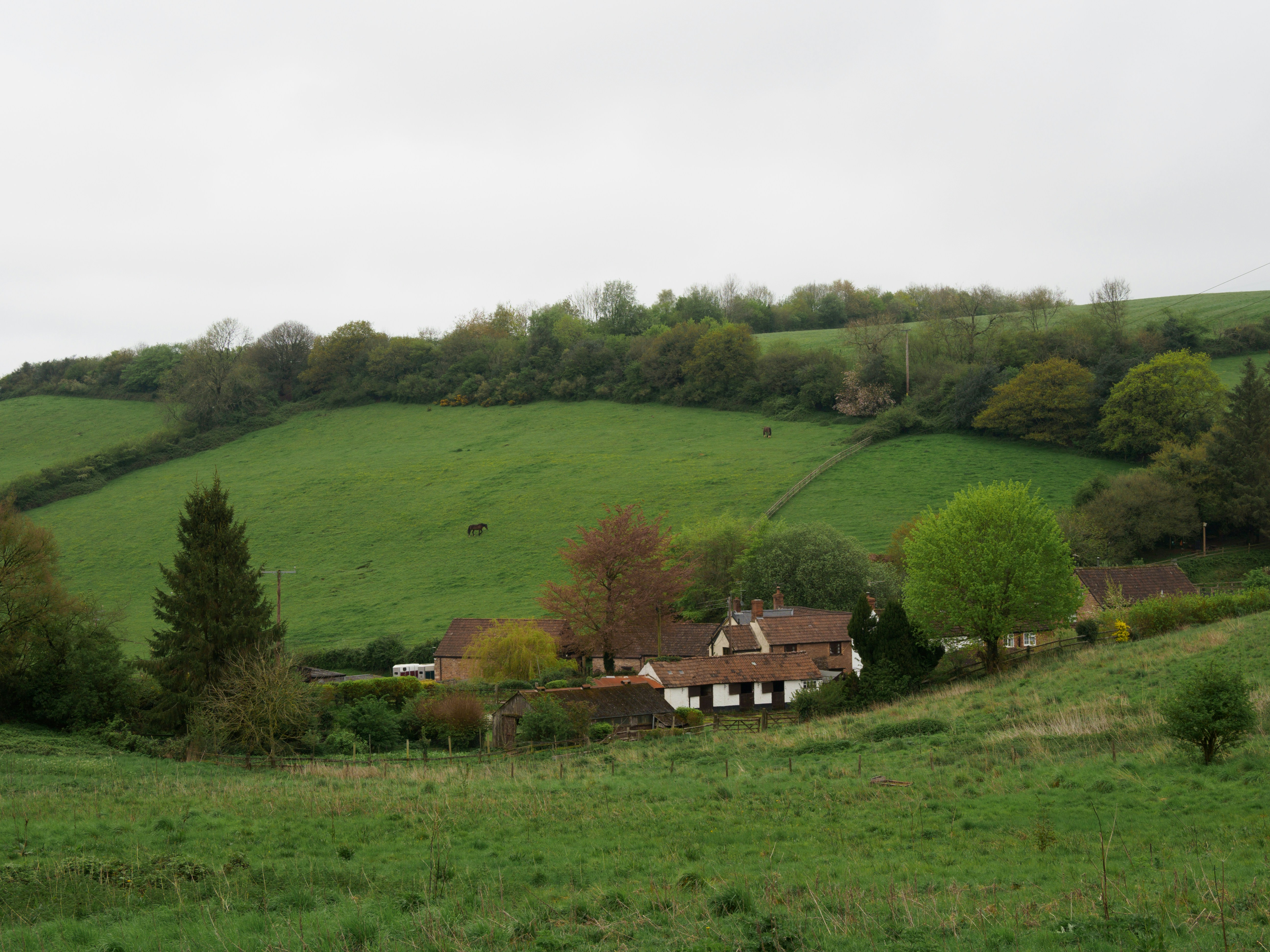 Hilshire Village cityscape