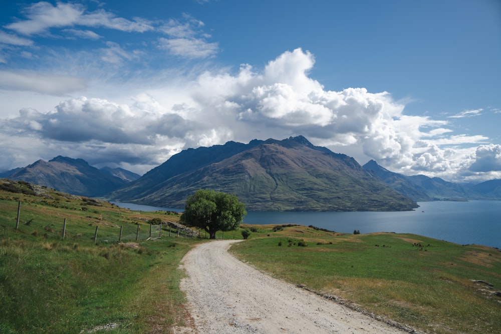 a dirt road with a tree on the side of it