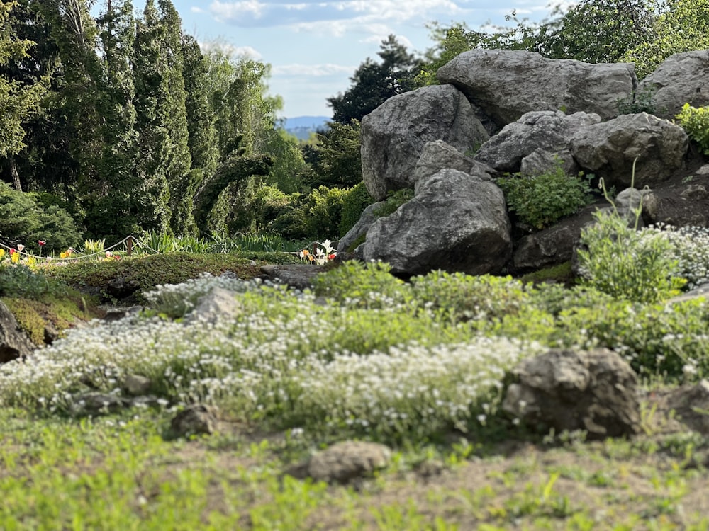 a group of people riding on top of a rock formation