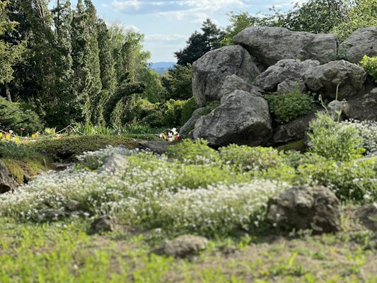 A group of people riding on top of a rock formation — Iași, Romania