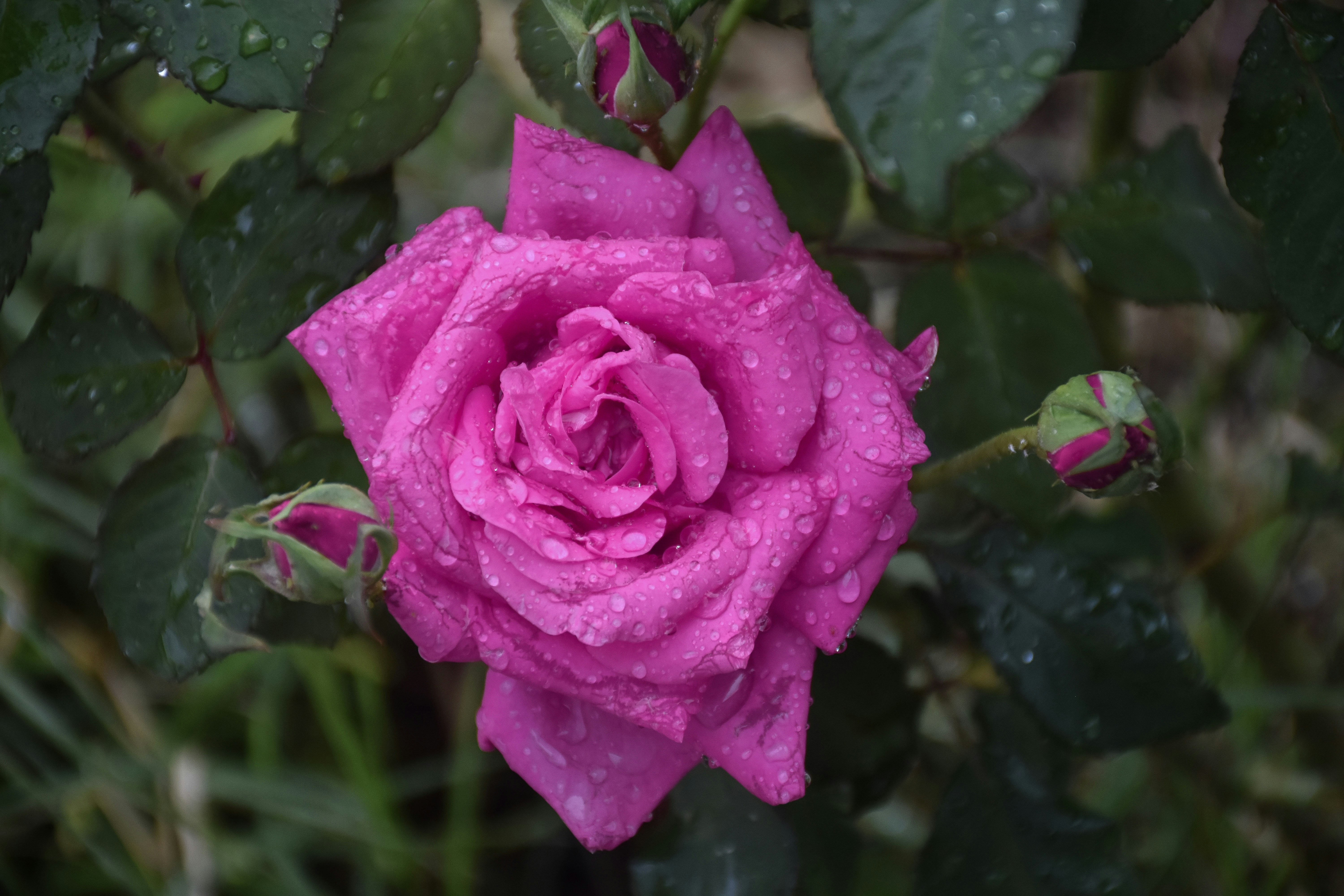 Photo by adam_skrinnikoff