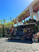A vibrant plant stall at a local Argentine fair with colorful flowers and greenery.