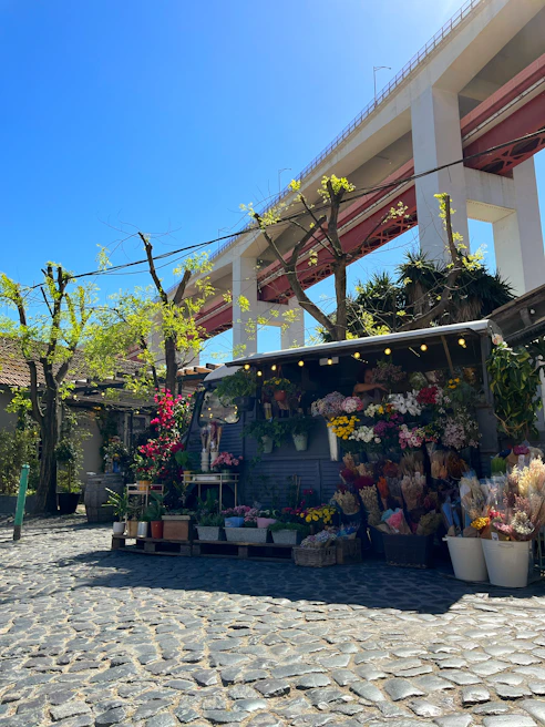 Vibrant flower stalls lining the street during the Boundary Road Festival, bursting with color