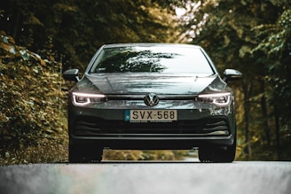 a car driving down a road next to a forest