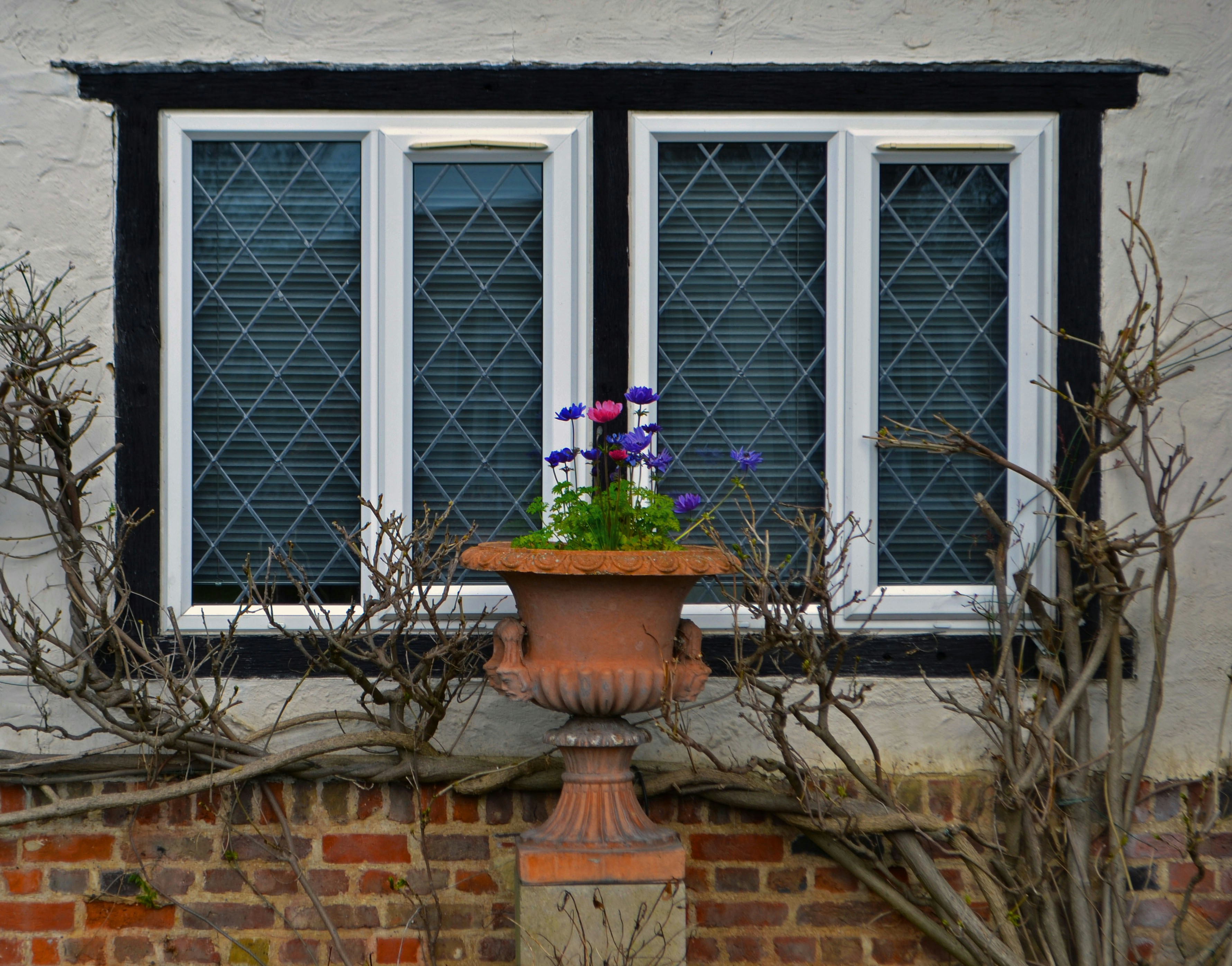 a flower pot with flowers in it sitting on a window sill
