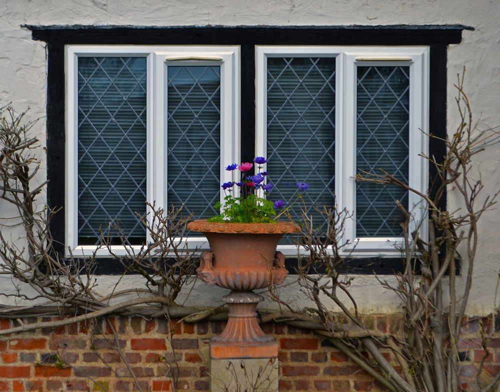 a flower pot with flowers in it sitting on a window sill