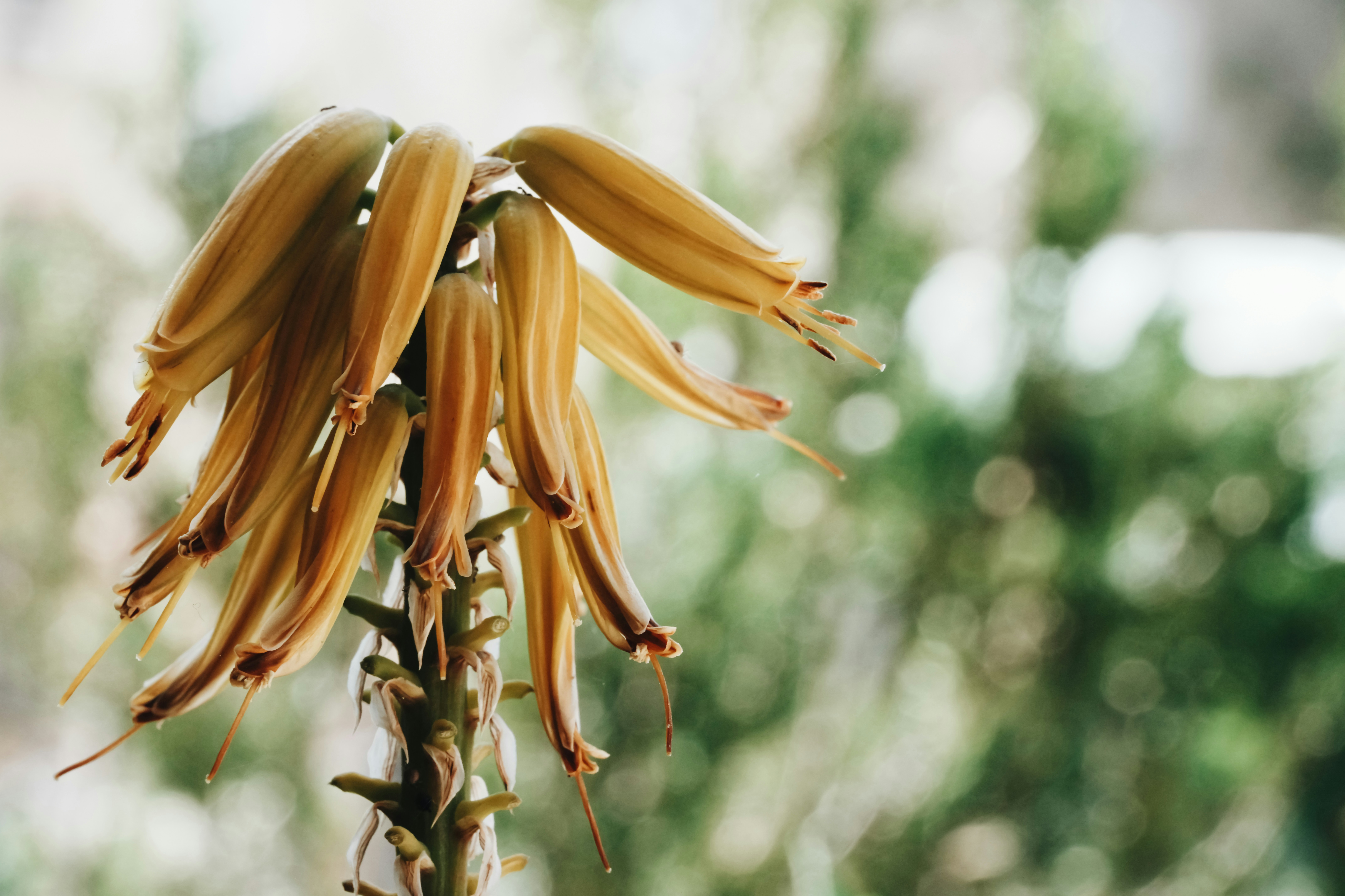 Photo by anyachernykh