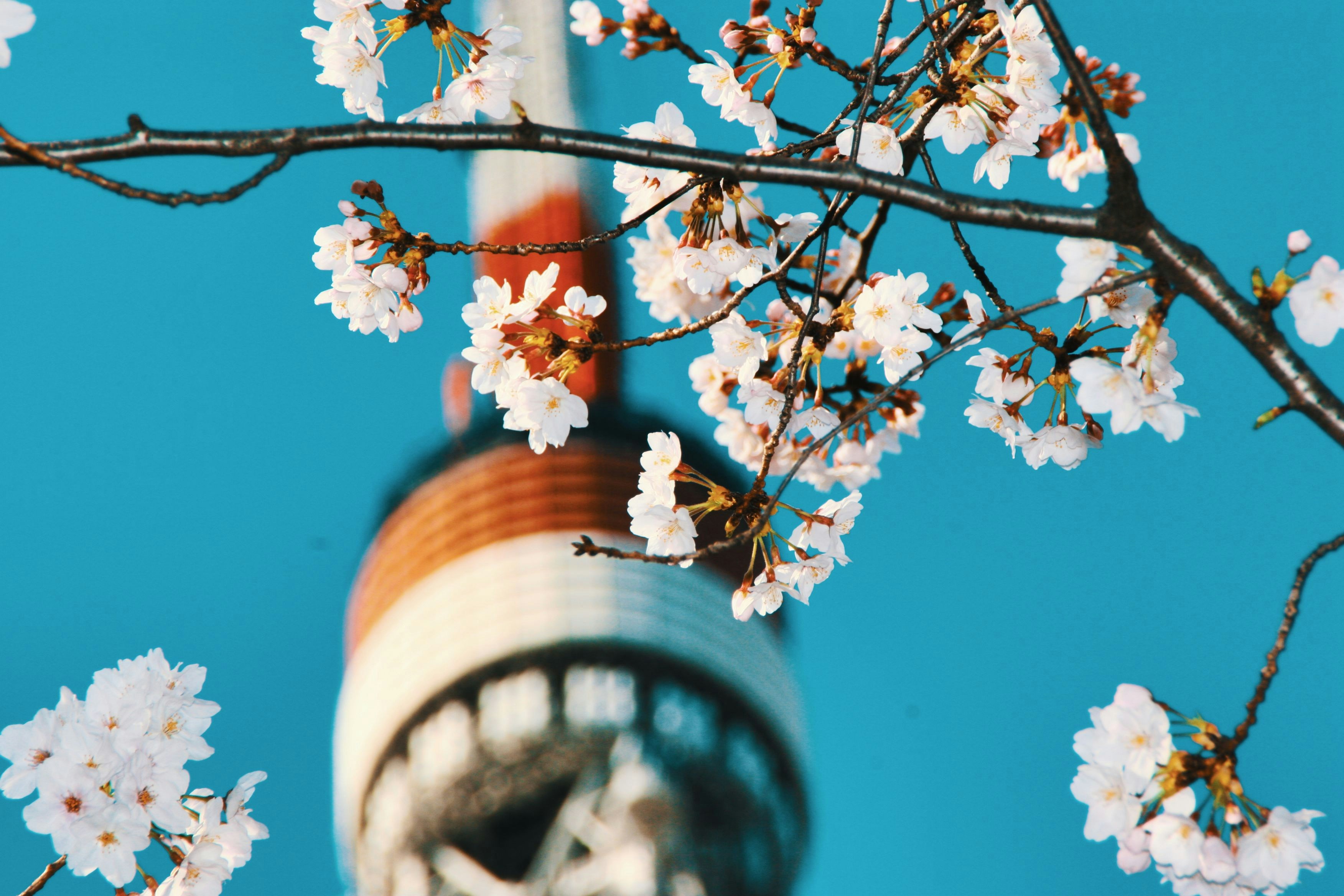 a tall tower with a clock on the side of it