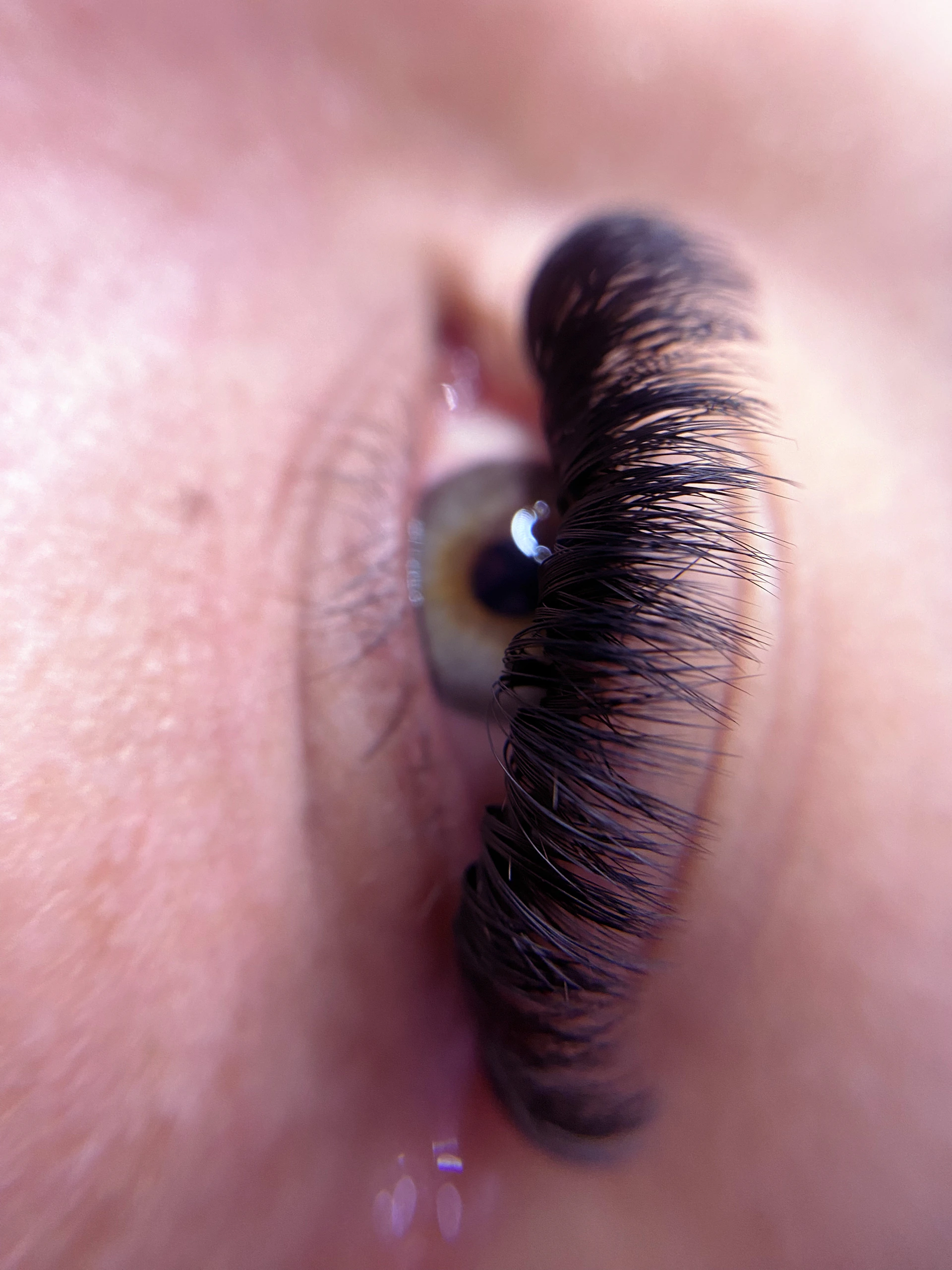 a close up of a person's eye with long eyelashes