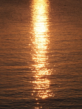 Golden sunlight reflecting off calm waters with shrimp nets in place.