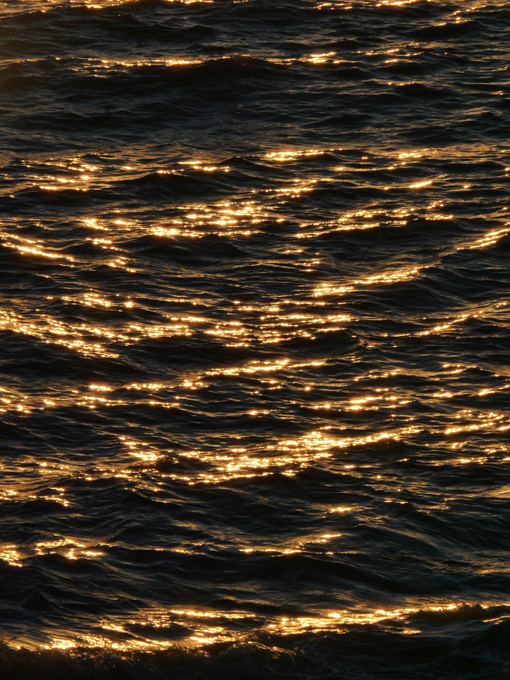 a bird flying over a body of water