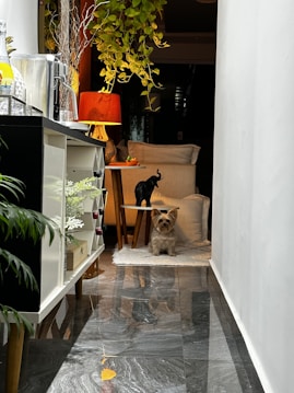 A cozy hallway featuring a small dog sitting on a shiny tile floor. To the left, there's a sideboard with a coffee machine and decorative items. A pendant light with warm yellow leaves hangs from above, and a stand with a red lampshade casts a soft glow next to a comfortable chair, accented by a black decorative elephant and a potted plant.