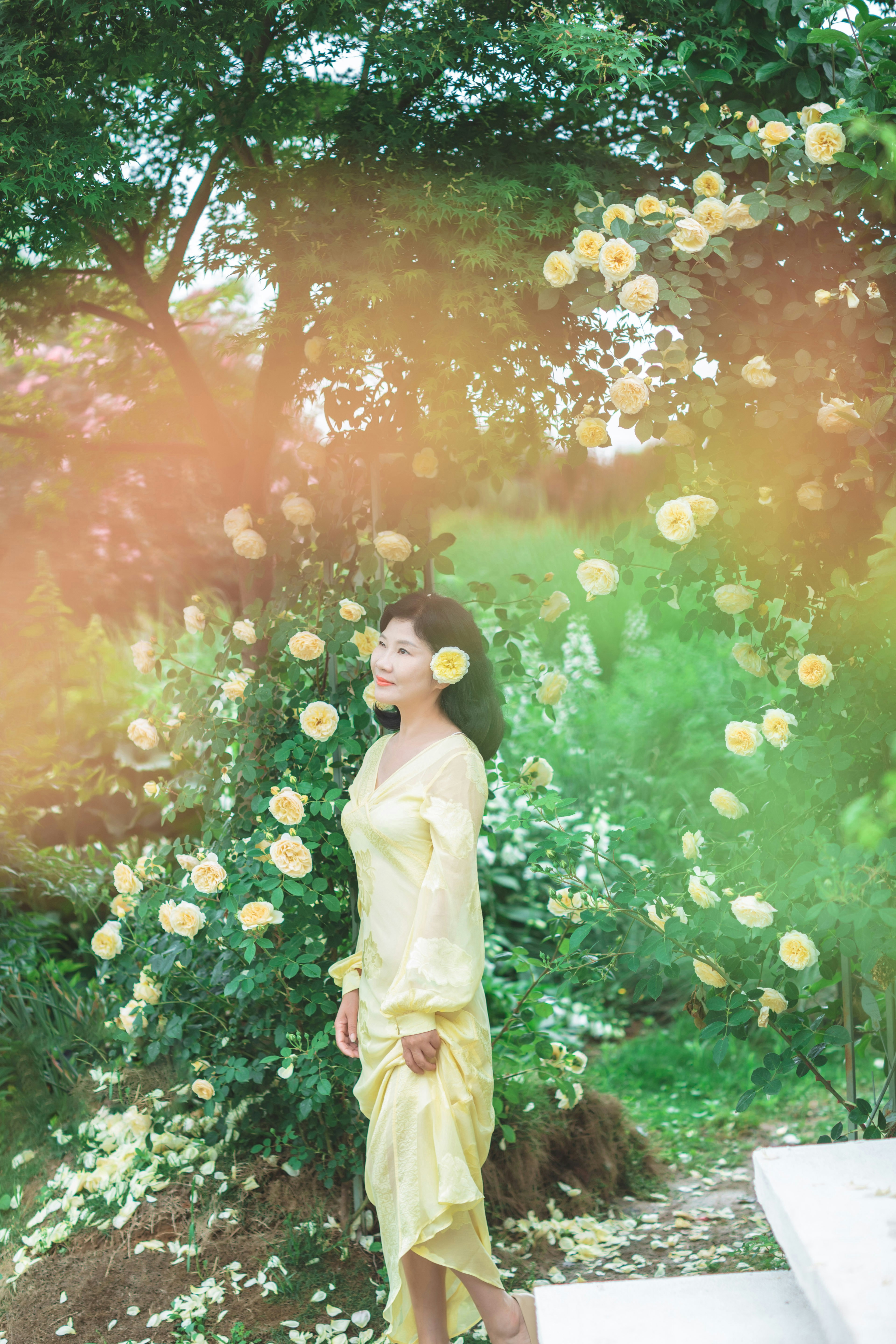 Summer Breeze Collection