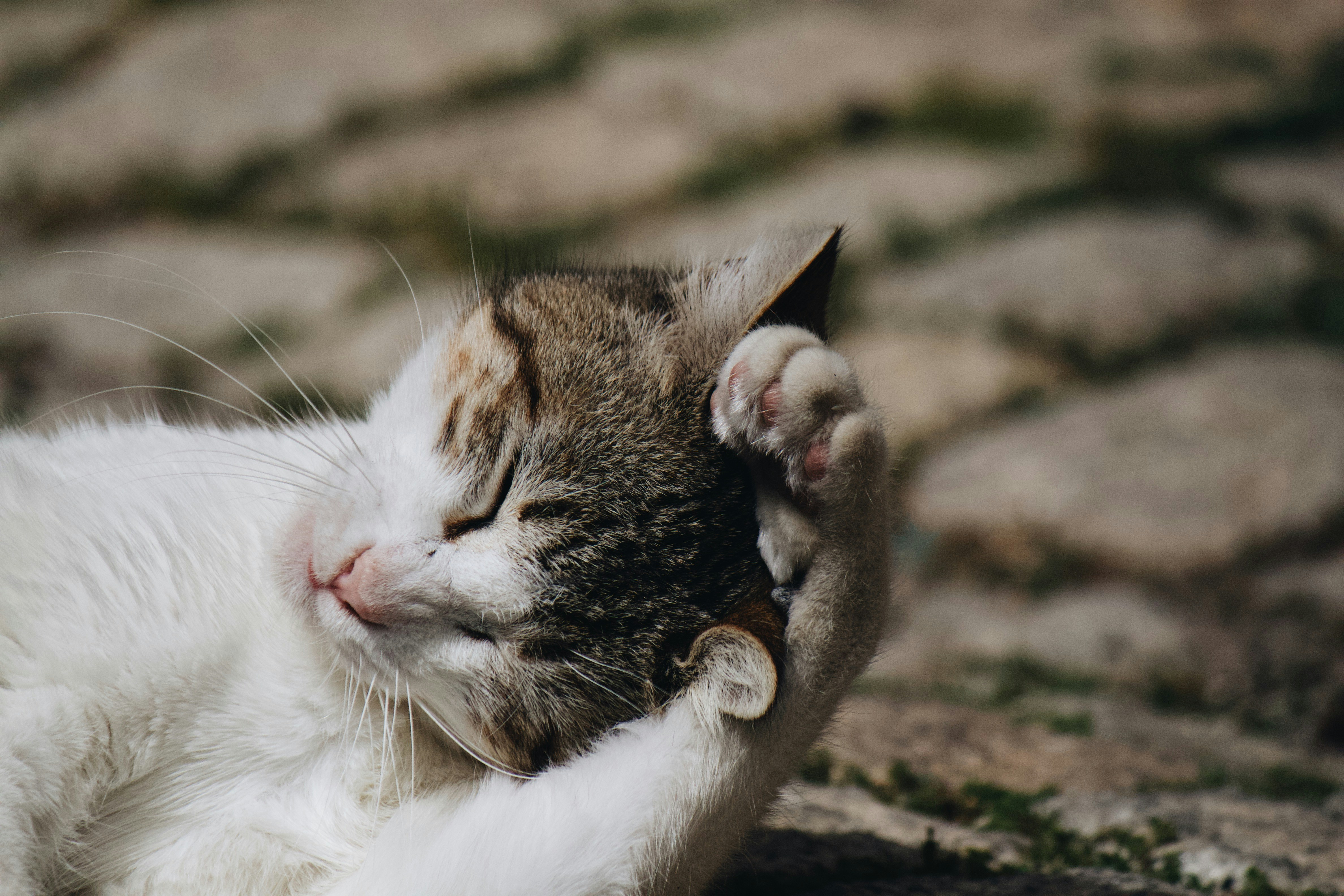 Photo by santii_yanez