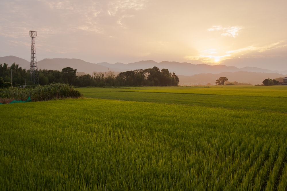 the sun is setting over a green field