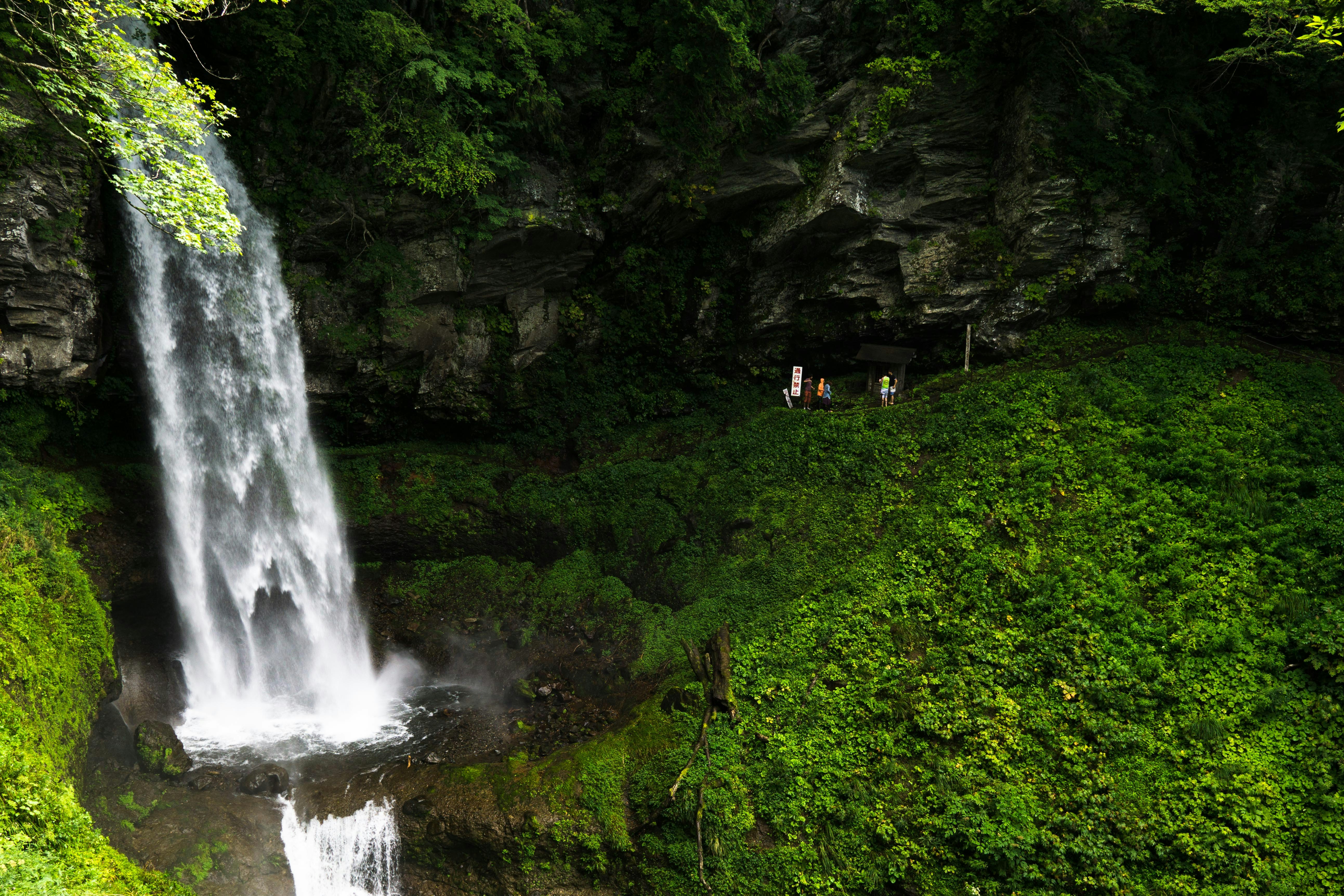 Photo by da_shika_photo