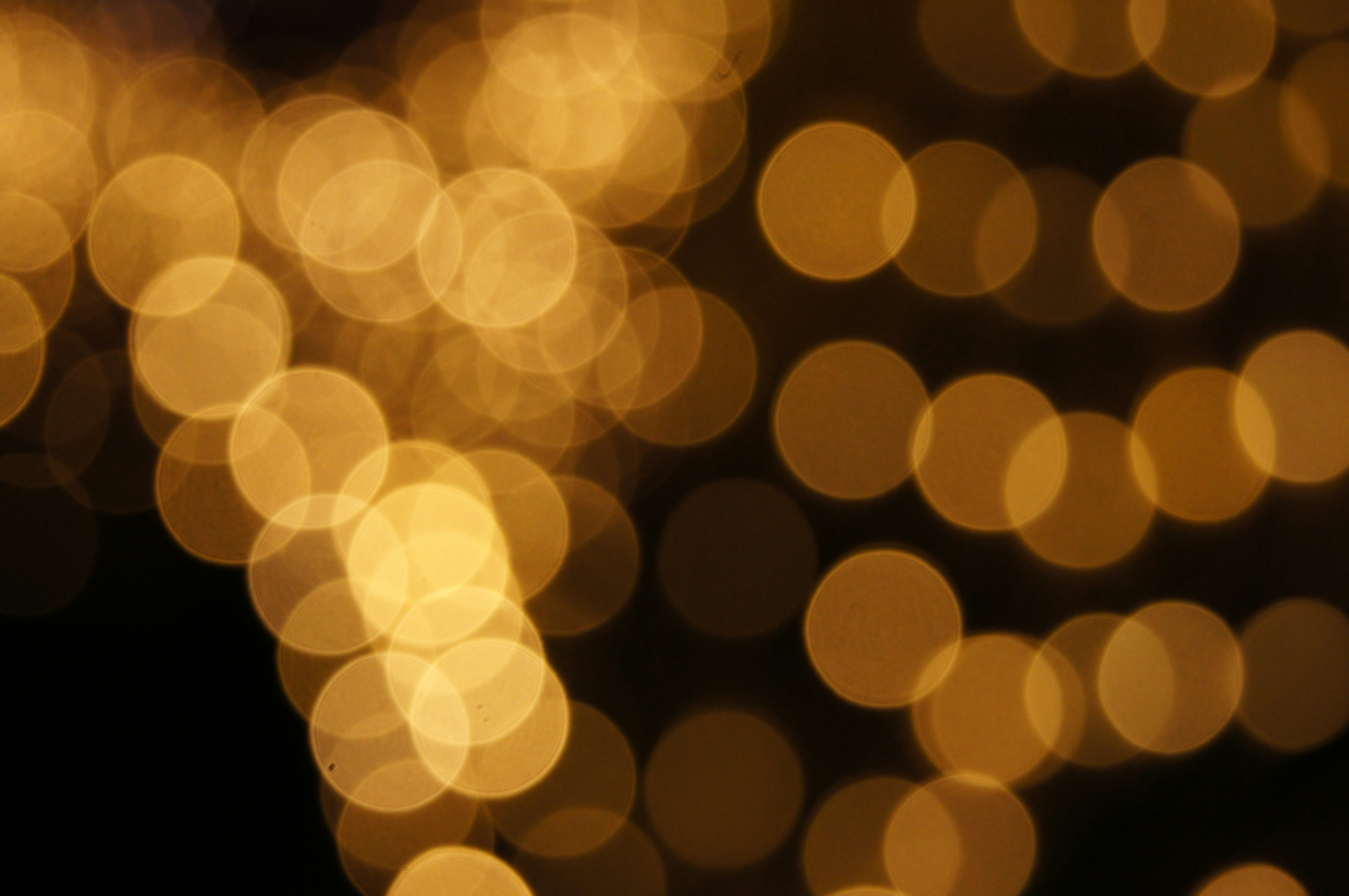 Photo by da_shika_photo