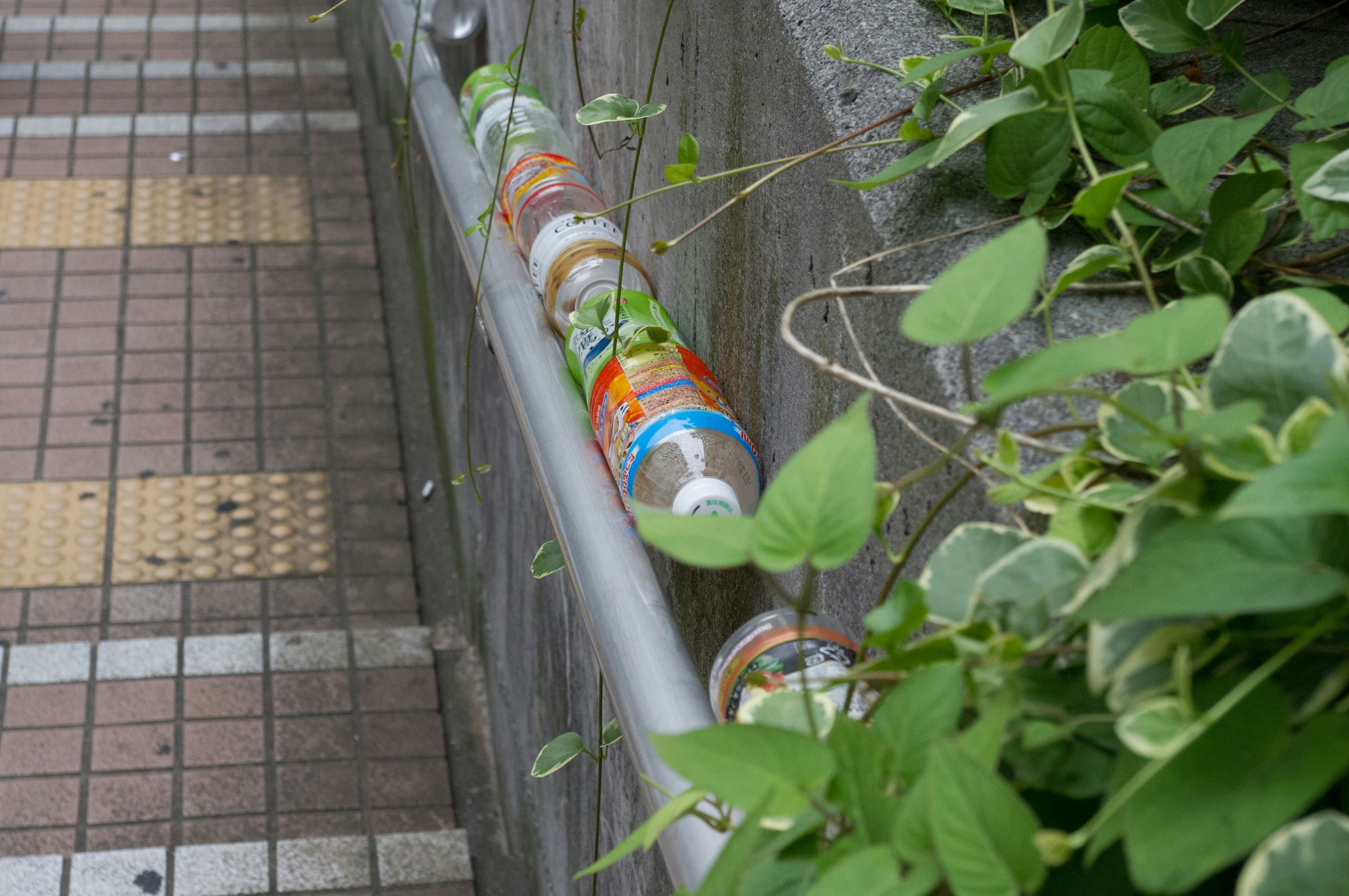 a row of empty water bottles sitting on the side of a building