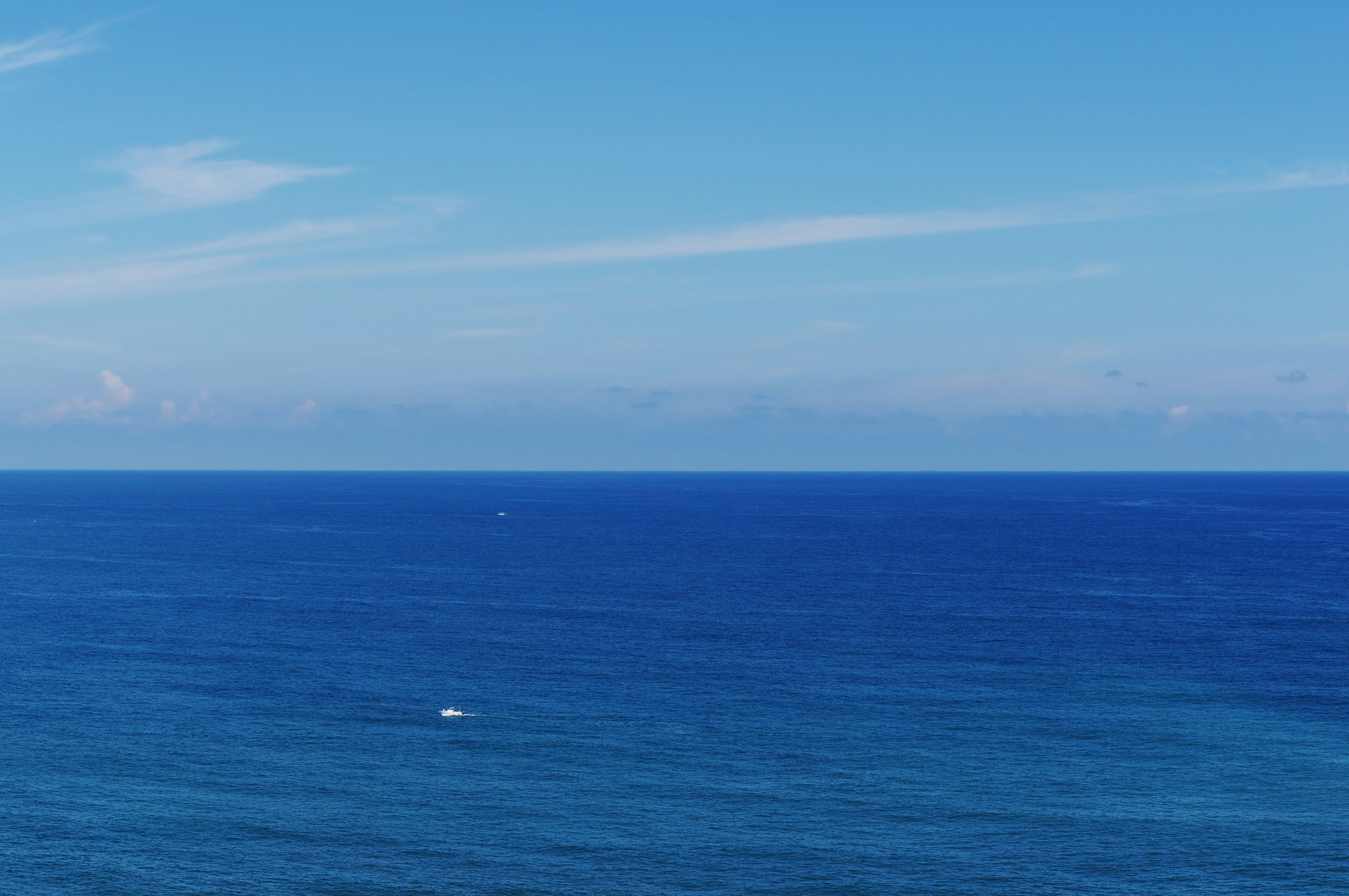 Photo by da_shika_photo