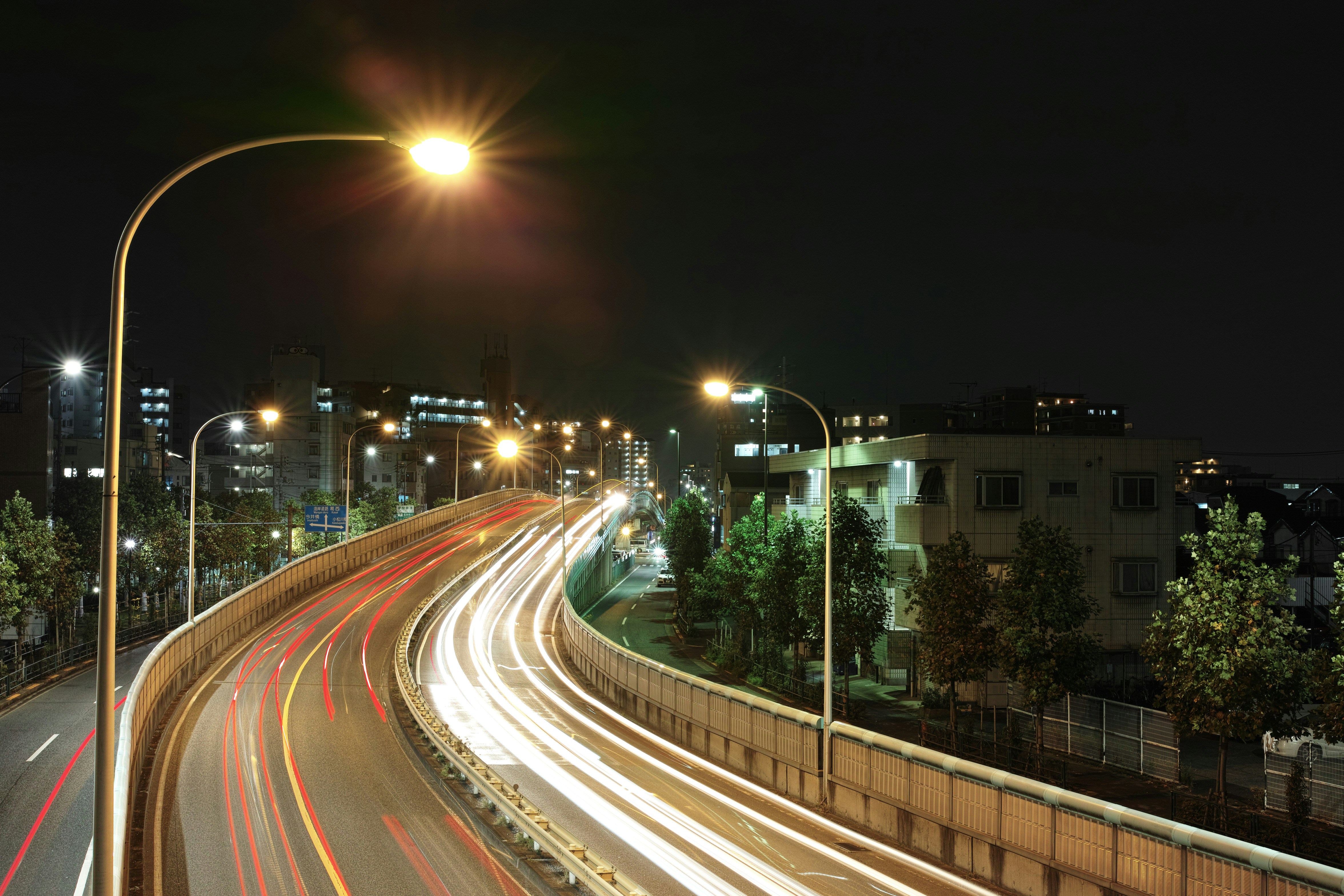 Photo by da_shika_photo