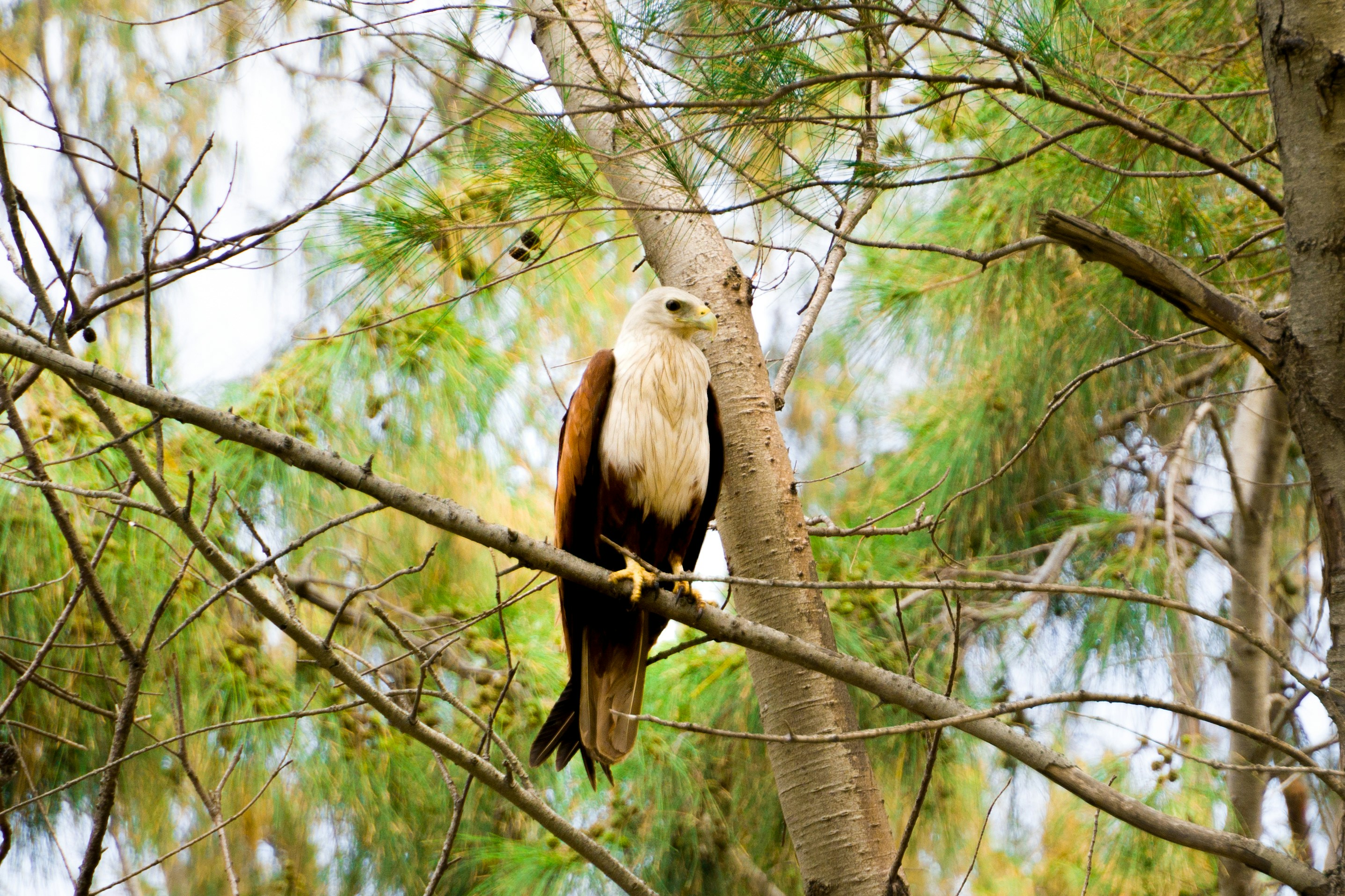 Photo by prakashraja_730