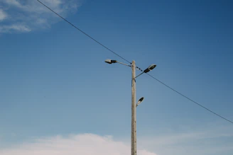 Concrete utility poles standing tall along a busy street in Brasília under a clear blue sky.