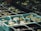 Seedlings in plastic trays are arranged in rows, with small green leaves emerging from dark soil. The trays are light blue and appear to be set outdoors, likely in a garden or nursery environment.