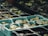 Seedlings in plastic trays are arranged in rows, with small green leaves emerging from dark soil. The trays are light blue and appear to be set outdoors, likely in a garden or nursery environment.