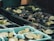 Several trays filled with potting soil and young plant seedlings are arranged in a greenhouse or gardening setting. The seedlings have small, tender leaves, and are positioned in rows within compartmentalized trays.