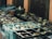 Multiple trays filled with small plant seedlings are lined up on a surface, with various pots visible in the background. The seedlings have green leaves and are placed in black and turquoise trays.