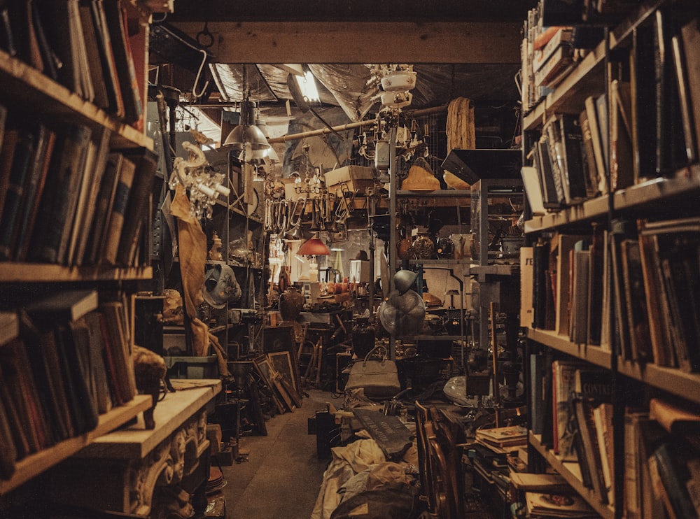 a room filled with lots of books and furniture