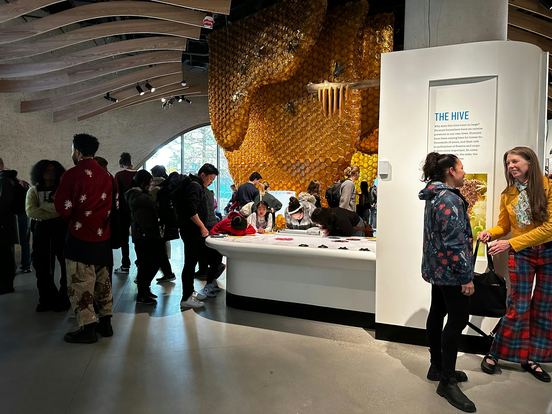 A dimly lit room filled with people engaging in activities around a large display. The display features a honeycomb structure on the wall, creating an impression of a beehive. Several individuals are gathered around a central table, reading and interacting with the exhibit. The room has a modern architecture with curved wooden beams on the ceiling, adding to the artistic ambiance.