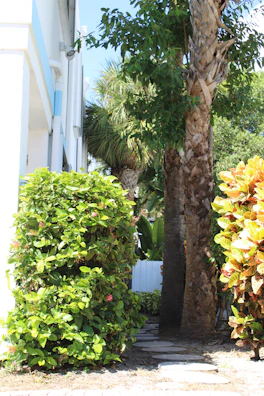 Nursery in Rajahmundry