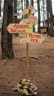 Close-up of a wooden signpost painted in bright orange, marking different camping spots.